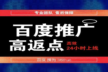 某行业领军企业的SEM广告投放策略